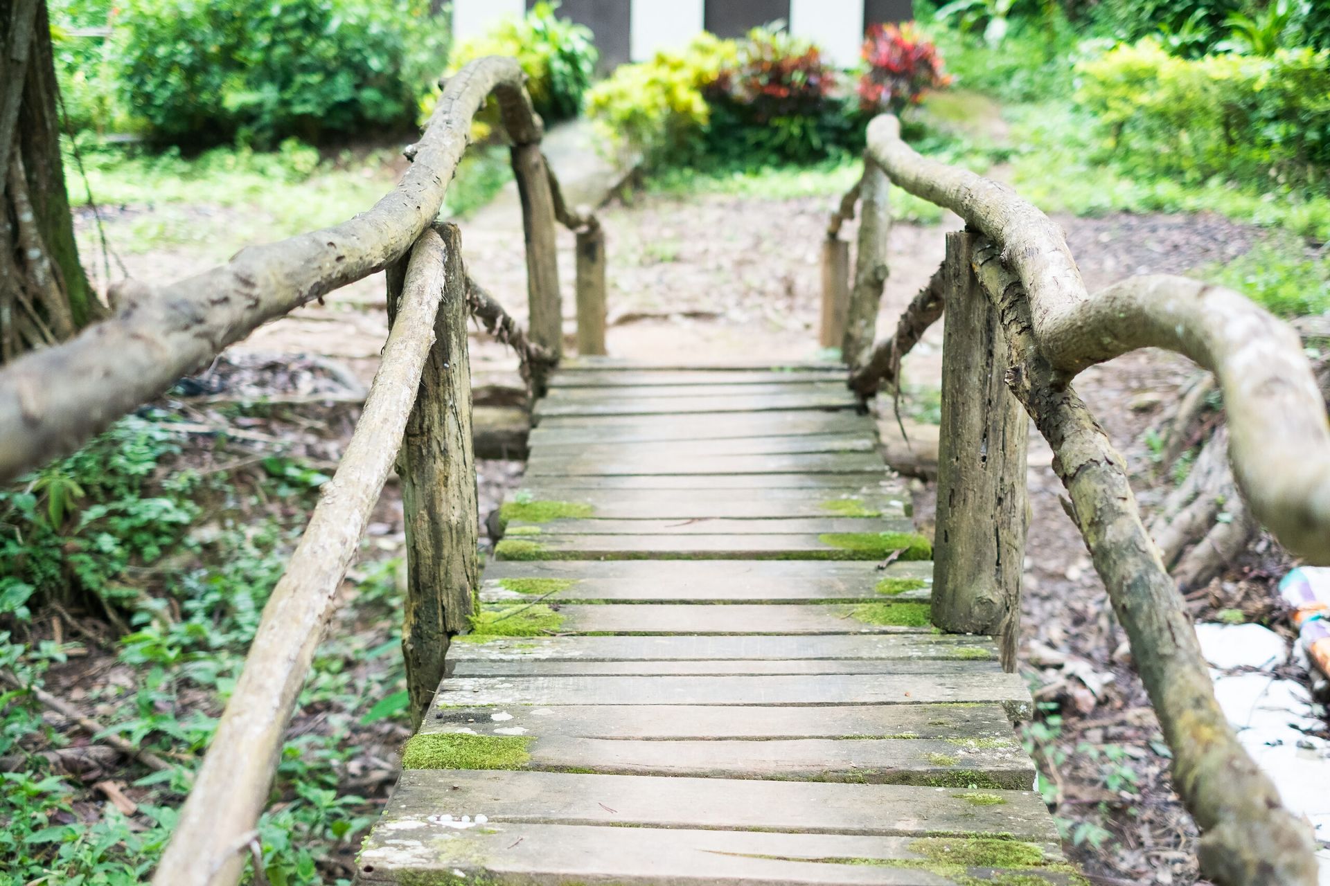 Old wooden bridge with moss across a river